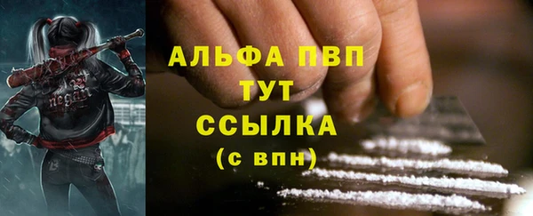крисы Лабытнанги