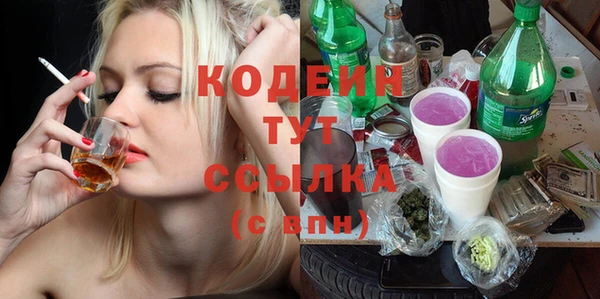 хмурый Лагань