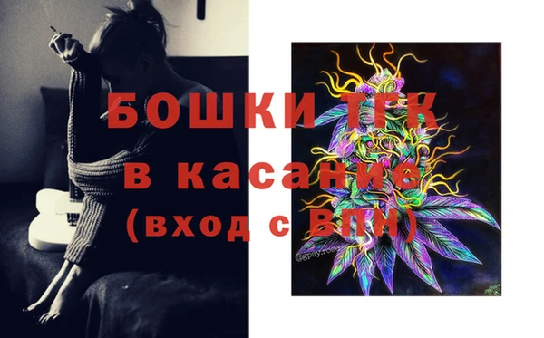хмурый Лагань