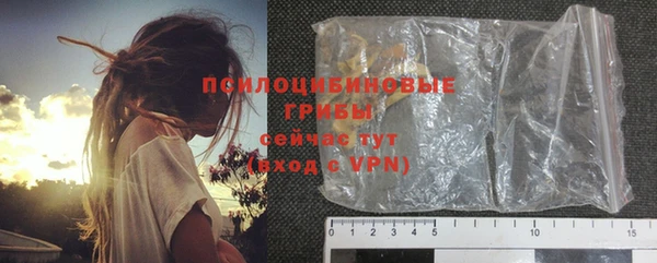 крисы Лабытнанги