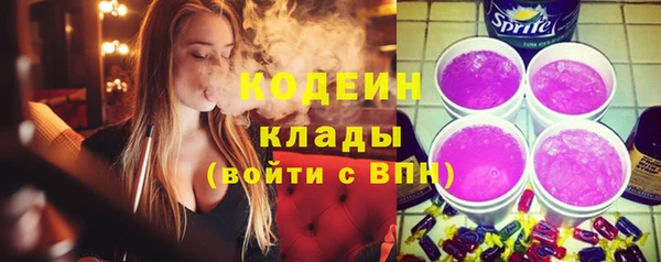 хмурый Лагань