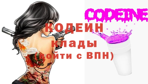 хмурый Лагань