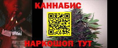 крисы Гусев
