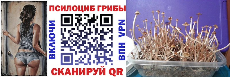 Псилоцибиновые грибы мухоморы  закладки  Нижний Новгород 