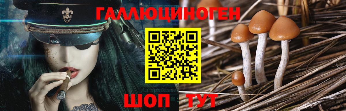 Псилоцибиновые грибы GOLDEN TEACHER  Нижний Новгород 