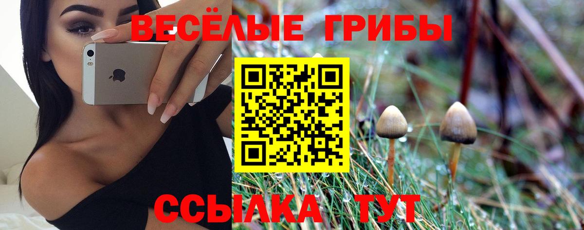 Галлюциногенные грибы Cubensis Нижний Новгород